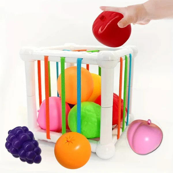 Early Learning Fruit Recognition Cube Box